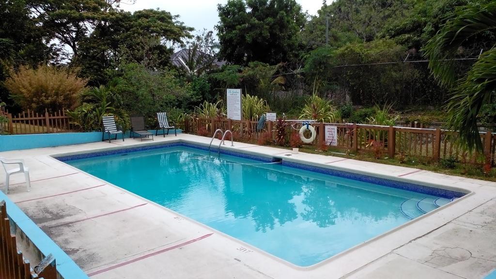 The Gardens Villa Kingston Exterior photo