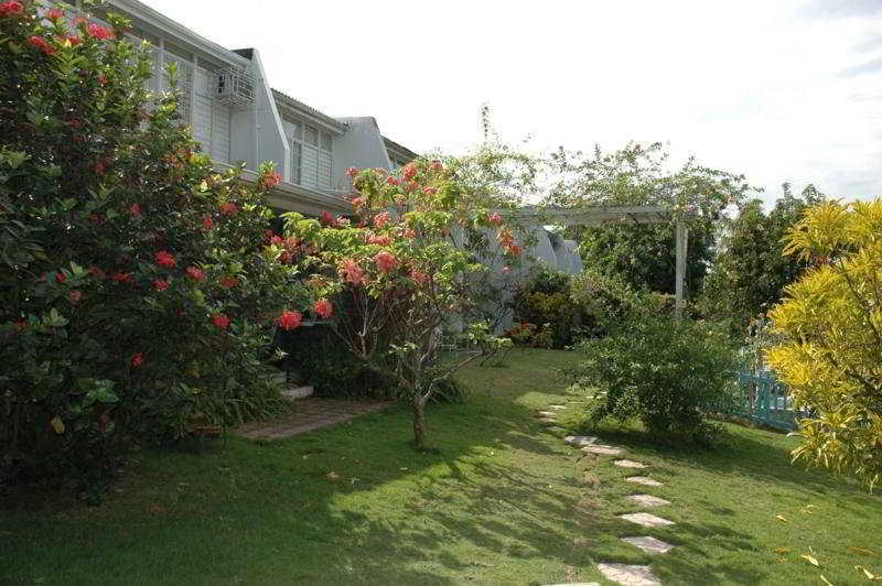 The Gardens Villa Kingston Exterior photo